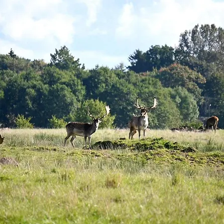 Home- Free Water Park Access 度假居